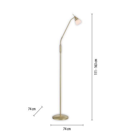 Lampa podłogowa matowy mosiądz z giętkim ramieniem i szklanym kloszem na dotyk PINO 1xG9 Paul Neuhaus 400-60