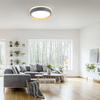 Okrągła szara lampa sufitowa 40cm EMILIA z funkcją ściemniania SwitchMo Just Light 14347-15
