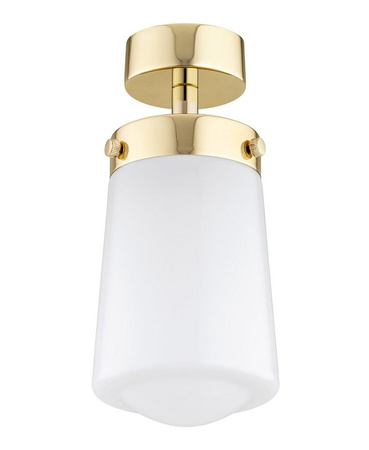Lampa sufitowa PASADENA Argon 8005