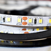 Taśma Led Premium 120/m 6000K IP20 5m Milagro ML4753