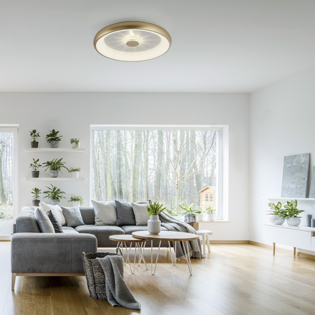Lampa sufitowa okrągła w kolorze matowego mosiądzu VERTIGO Just Light Paul Neuhaus 14386-60 sterowana pilotem