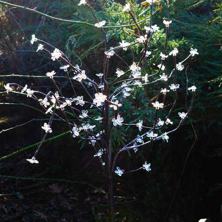 Lampa Solarna Tree 120cm RGB+3000K IP44 Milagro EKO1448