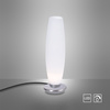 Lampa stołowa szklana o srebrnej podstawie TYRA Paul Neuhaus4027-55 na dotyk