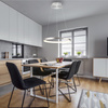 Lampa wisząca okrąg w kolorze aluminium 57cm LED 3000K HOOP Paul Neuhaus 2851-95 