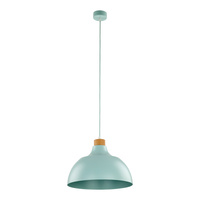 CAP MINT LAMPA WISZĄCA 1 TK Lighting 5901
