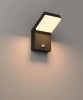 Czarny kinkiet ogrodowy Fiss LED 3000K z czujnikiem ruchu Maxlight W0472