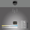 Lampa wisząca czarna LED Q-STRETTO Paul Neuhaus 2657-18