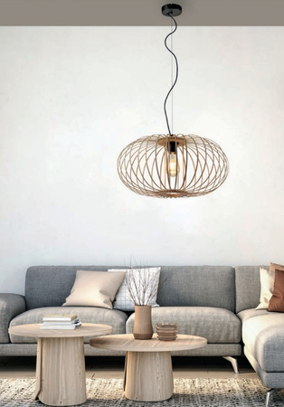 Lampa wisząca RACOON Leuchten Direkt 11409-79