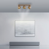 Brązowa podłużna lampa sufitowa trzy tuby LED 2700K PURE CUP Paul Neuhaus 6227-97 