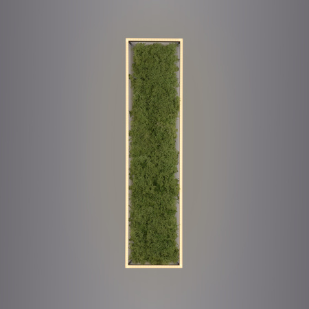 Lampa sufitowa prostokątna naturalny mech GREEN KNUT Just Light 15623-66 