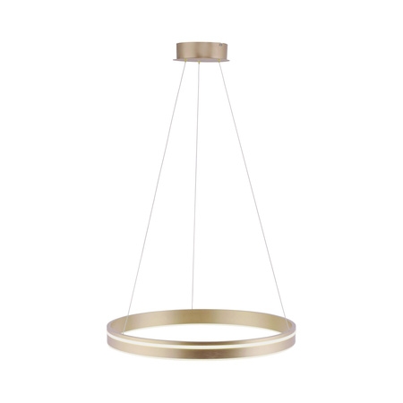Lampa wisząca ring 59cm w kolorze mosiądzu sterowana pilotem lub smartfonem Q-VITO Paul Neuhaus 8411-60