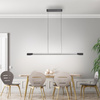 Liniowa lampa wisząca LED 3000K w kolorze antracytowym + aluminium HOOP Paul Neuhaus 2732-33 z wbudowanym ściemniaczem