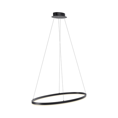 Lampa wisząca antracytowy okrąg 80cm TITUS Paul Neuhaus 2392-13 z wbudowanym ściemniaczem