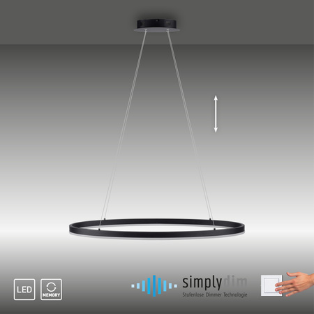 Lampa wisząca antracytowy okrąg 80cm TITUS Paul Neuhaus 2392-13 z wbudowanym ściemniaczem