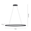 Lampa wisząca antracytowy okrąg 118cm x 56cm TITUS Paul Neuhaus 2393-13 z wbudowanym ściemniaczem