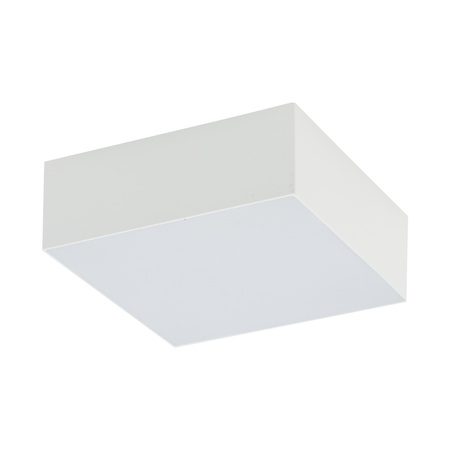 Lampa sufitowa plafon LID SQUARE LED 15W 11cm Nowodvorski 10424 10420 10433 10428 kolor i barwa światła do wyboru