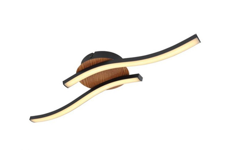 Lampa sufitowa EVITA LED Globo 67171-12