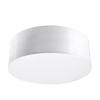Lampa sufitowa, plafon ARENA 25 Sollux SL.0127 SL.0129 - kolor do wyboru