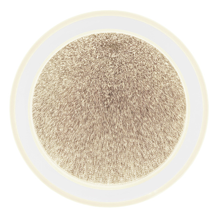 Lampa sufitowa TINI LED 40cm Globo 48917-24 sterowana pilotem