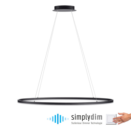 Lampa wisząca antracytowy okrąg 118cm x 56cm TITUS Paul Neuhaus 2393-13 z wbudowanym ściemniaczem