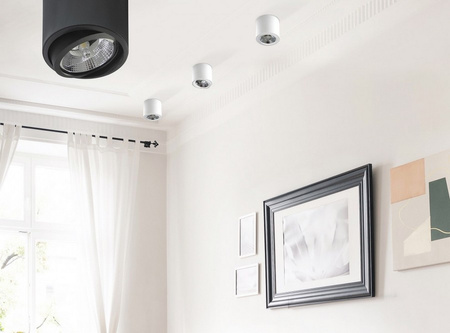 Lampa sufitowa oprawa ALIX 230V Azzardo  AZ3541 AZ3540 kolor do wyboru