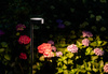 Lampa słupek ogrodowy wraz ze szpikulcem 3000K RUBY LED Nowodvorski 11542