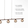 Lampa wisząca GRETA Paul Neuhaus 2040-48
