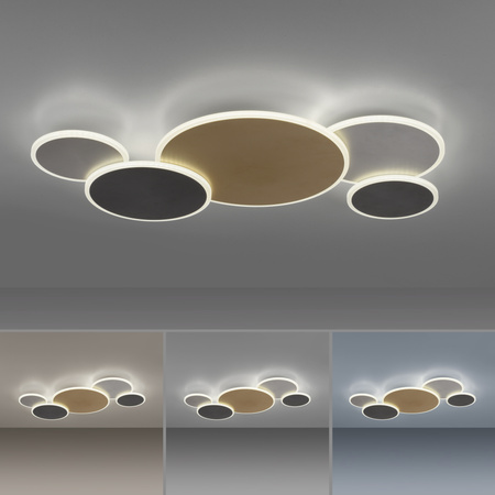 Lampa sufitowa pięć połączonych kół w różnych odcieniach Q-PIATO Paul Neuhaus 8008-70 sterowana pilotem lub smartfonem