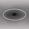 Lampa wisząca antracytowy okrąg 80cm TITUS Paul Neuhaus 2392-13 z wbudowanym ściemniaczem