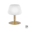LAMPA STOŁOWA MATOWY MOSIĄDZ 1xG9 TILL Paul Neuhaus 4078-60 na dotyk