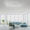Lampa sufitowa srebrne dwie ramki LED prostokątne z funkcją ściemniania SwitchMo IVEN Just Light 14691-55