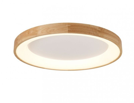 Lampa sufitowa, plafon SILVAM 65 TOP LED AZzardo AZ2698