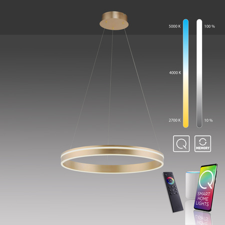 Lampa wisząca ring 59cm w kolorze mosiądzu sterowana pilotem lub smartfonem Q-VITO Paul Neuhaus 8411-60
