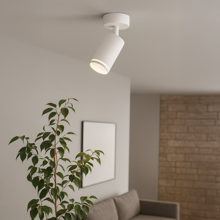 Oprawa Pipe Ring Spot Biały 1xGU10 Milagro ML2068