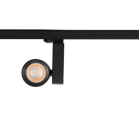 Reflektor Ojo 25W 2700/4000K Czarny 3 Obwodowy Milagro ML1107