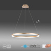 LAMPA WISZĄCA MOSIĄDZ o średnicy 80cm Paul Neuhaus TITUS 2383-60 