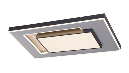 Lampa sufitowa Q-ALTA LED Paul Neuhaus 6125-18 sterowana pilotem