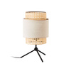 Lampa stołowa BOHO NATURE TK Lighting 5577