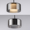 Pojedyńcza lampa wisząca z funkcją ściemniania i Comfort LIFT RIKA Paul Neuhaus 112-18 
