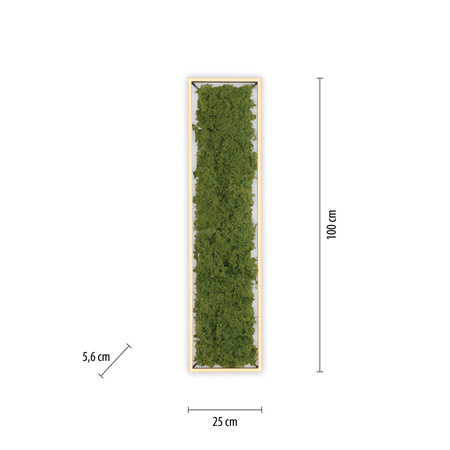 Lampa sufitowa prostokątna naturalny mech GREEN KNUT Just Light 15623-66 