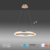 Lampa wisząca okrąg o średnicy 60cm LED 3000K TITUS Mosiadz Paul Neuhaus 2382-60 z wbudowanym ściemniaczem
