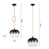 Lampa wisząca pojedyńcza szklany klosz i świecący przewód LUMA Paul Neuhaus  2410-18