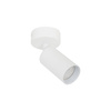 Oprawa sufitowa, ruchomy spot biały AMIS WHITE  1xGU10 Tk Lighting 10794
