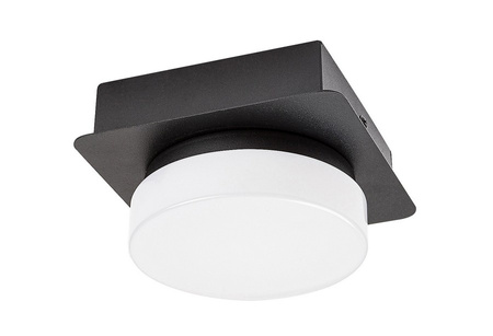 Lampa sufitowa ATTICHUS LED IP44 Rabalux 75001