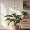 Lampa wisząca MOLLY GREEN 1xE14 Milagro ML1824