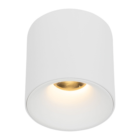 Biała oprawa natynkowa o średnicy 9,6cm LED BLAZE WHITE CCT 18W Tk Lighting 18159