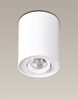 MAXLIGHT C0067 LAMPA SUFITOWA BASIC ROUND BIAŁA