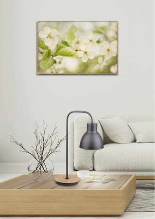 VARIO LAMPKA GABINETOWA 1X60W E27 CZARNY Candellux 41-73488