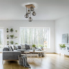 Lampa sufitowa z drewnianą podstawą i pięcioma szklanymi kloszami GREEN WIDOW 5xE14 Just Light 11395-79
