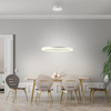 Lampa wisząca biały ring 60cm TITUS LED 3000K Paul Neuhaus 2382-16